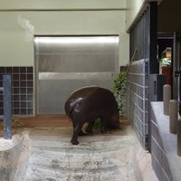 Photo taken at Hippopotamus by dym á. on 9/23/2023
