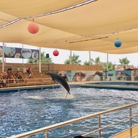 6/15/2018 tarihinde Şeyda K.ziyaretçi tarafından Antalya Aksu Dolphinarium'de çekilen fotoğraf