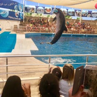 Photo prise au Antalya Aksu Dolphinarium par Şeyda K. le7/31/2018