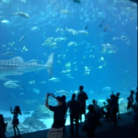 Photo taken at Georgia Aquarium Quarantine by Adriana R. on 7/3/2012