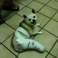 Arizona Avenue Animal Clinic 7 W Knox Rd