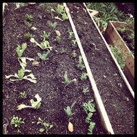 Photo taken at Crags Court Community Garden by Lisa on 3/17/2012