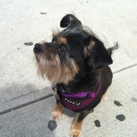 Photo taken at Doggie Styles by ericamichele h. on 7/14/2012