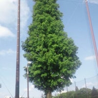 笹目公園野球場 Baseball Field In 戸田市 笹目公園野球場 Baseball Field In 戸田市