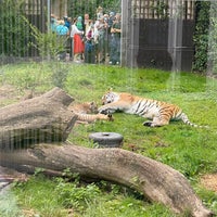 Photo taken at Zoo Duisburg by Vit R. on 7/29/2021