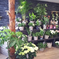 Photos At Fleuriste Atelier De Créations Florales Rose Rouge