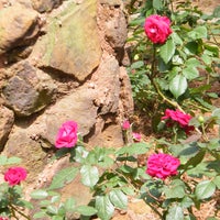 Das Foto wurde bei The Gardens of the American Rose Center von The Gardens of the American Rose Center am 7/10/2014 aufgenommen