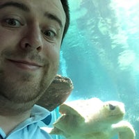 4/2/2017にSimon B.がOceanarium, The Bournemouth Aquariumで撮った写真