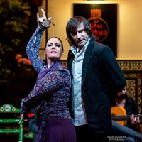 La Casa Del Flamenco Auditorio Alcantara Santa Cruz C Ximenez De Enciso 28