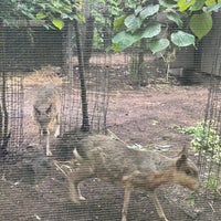 Photo taken at Tisch Children&amp;#39;s Zoo by N on 6/23/2023