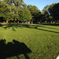 Купер через парк. Купер через парк. Coopers park. Купер через парк. Купер через парк.