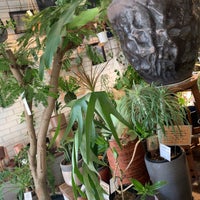Growing Plants Oslo 福島区 北区大淀南3 2 4 Growing Plants Oslo 福島区 北区大淀南3 2 4