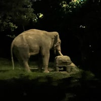Photo taken at Night Safari by Charlie on 5/26/2024
