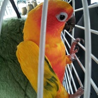 The Bird Shop 5553 Auburn Blvd