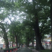 Photo taken at 馬場大門のケヤキ並木 by suiiiika S. on 7/9/2015