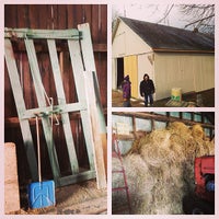 12/22/2012にVanessa N.がStonehedge Farmで撮った写真