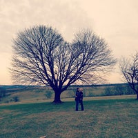12/24/2012にVanessa N.がStonehedge Farmで撮った写真