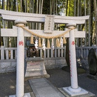 不知八幡森 市川市 千葉県