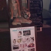 Live Garage 秋田犬 1 Tip From 169 Visitors