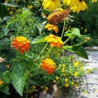 West Virginia Botanic Garden Garden In Morgantown