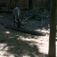 รูปภาพถ่ายที่ Hertfordshire Zoo โดย Esra O. เมื่อ 8/7/2016