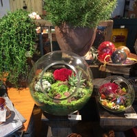 Photo taken at Alapash Home &amp;amp; Terrariums by Christopher K. on 7/25/2014