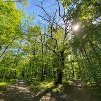 Photo taken at Голосіївський ліс by Mikhail S. on 5/11/2021
