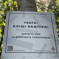 Photo taken at Голосіївський ліс by Mikhail S. on 5/11/2021