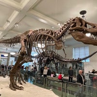Photo taken at Dino Store by Gilmar H. on 10/17/2022