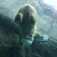 Photo taken at Assiniboine Park Zoo by AhYoung J. on 7/29/2017