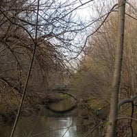 Photo taken at Bronx River Forest by Kwasi A. on 4/11/2017