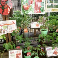 Photos At 島忠ホームズ 仙川店 Furniture Home Store In 調布