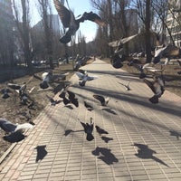 Photo taken at Бульвар Ігоря Шамо by Liudmila K. on 2/18/2016