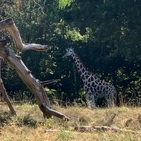 Photo taken at Giraffe Barn by Wilo D. on 8/31/2022