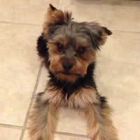 banfield waterford lakes