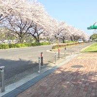 Photo taken at 秦野中央こども公園 by 尾崎 祐. on 4/14/2017