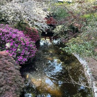 Photo taken at Descanso Gardens Japanese Garden Teahouse by Jeff W. on 4/17/2021