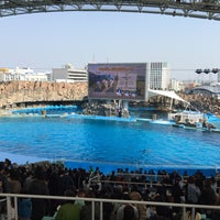 Photo taken at Port of Nagoya Public Aquarium by NAOKI on 2/28/2016