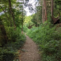 霞丘陵自然公園 青梅 0 Tips