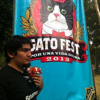 Photo taken at Gato Fest 2013 by Pam B. on 2/17/2013