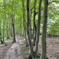 Photo taken at Babický les by Tomáš H. on 7/21/2021