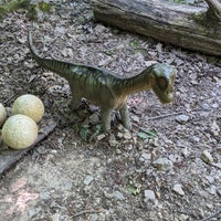 6/8/2023 tarihinde Marc B.ziyaretçi tarafından Dinosaurierpark Teufelsschlucht'de çekilen fotoğraf