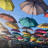 鹿沼市花木センター 茂呂86 1