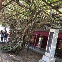 笠間稲荷神社 八重の藤 22 Clientes 笠間稲荷神社 八重の藤 22 Clientes
