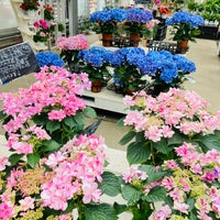 鹿沼市花木センター 茂呂86 1