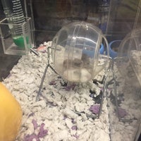 pet lover centre kembangan