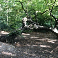 Photo taken at Knighton Wood by Melih on 9/11/2021