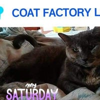 Coat Factory Lofts Downtown Detroit Detroit Mi [ 200 x 200 Pixel ]