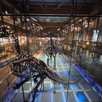 Photo taken at Museum of Natural Sciences by Nele G. on 2/18/2023