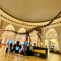 Photo taken at DubaiDino by Jay F Kay on 3/10/2022